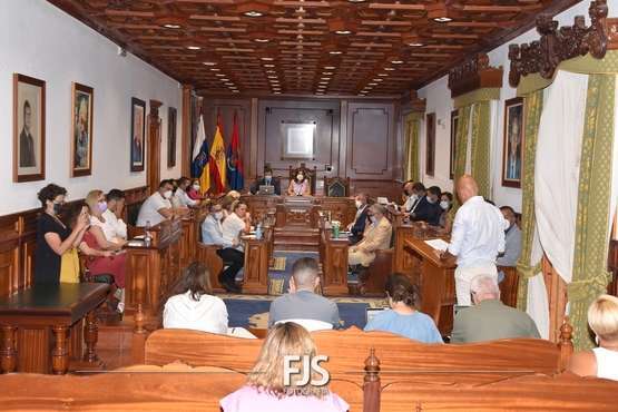 Pleno ordinario de julio de 2022/Francisco Javier Santana.